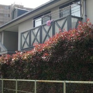 ピックアップ物件