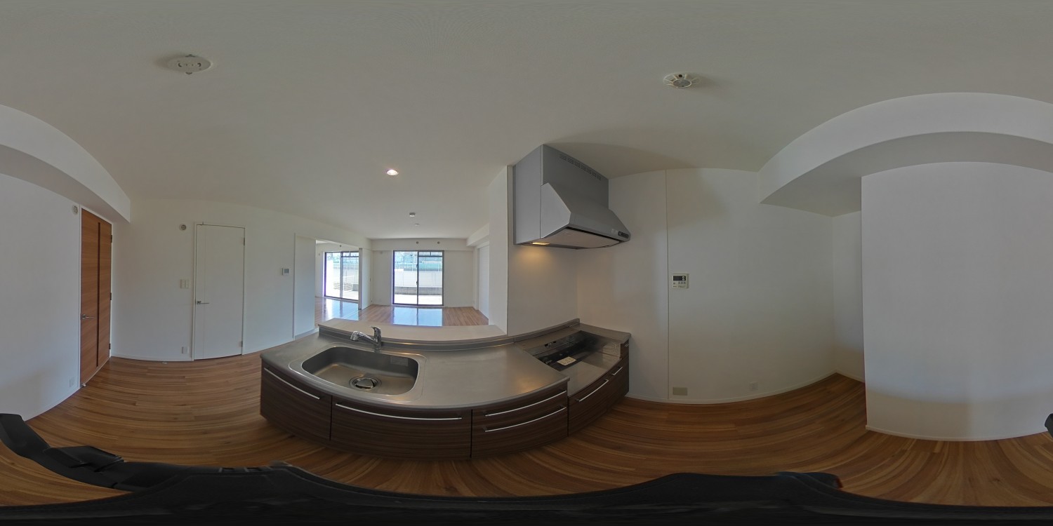 ※102号室のパノラマ写真です